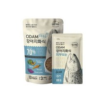 (오담) 강아지 화식 연어 (피부눈) 1kg/화식간식/펫화식간식/애견화식간식/애완견화식간식/강아지영양식/펫, (오담) 강아지 화식 연어 (피부눈) 1kg/화식간식/