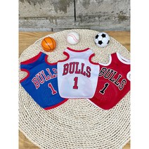 뚠뚜난나 불스 조던 농구 매쉬 민소매티 여름철 강아지옷 (S - 2XL 3XL), 레드