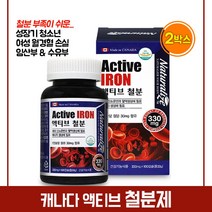 액티브 철분 영양제 성장기 어린이 청소년 수험생 여성 임신 준비 초기 임산부 출산후 산모 수유부 철분제 캡슐 보충제 건강 기능식품, 330mg, 2박스