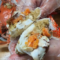 신진도 봄암꽃게1kg(3~4미) 2인분 알배기, 1개, 활 봄알배기1kg중(4~6미)유자망