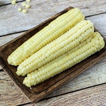 괴산 냉동 찰옥수수 미니 30개 / 14cm 미만 팩당 3개씩 소포장, 단품