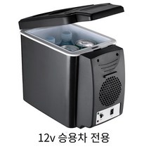 COSYEVNO 차량용 냉장고 편휴식 야영하다, 12V트롤리＋24V트럭＋220V가정용, 6L블랙
