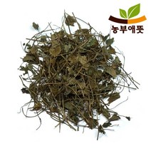 농부애뜻 금전초 300g 국산 병꽃풀 연전초 금전애 적설초, 1팩