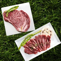 1++ 국내산 한우 꽃등심 150g+갈비살 100g