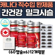 여성 남성 캐나다 간 건강 도움 기능 밀크씨슬 실리마린 플러스1000mg 비타민 A B1 B2 B6 B12 아연 엽산 밀크시슬 식 약 처 인증 종합 영양제 6 알약통 사은품 증정, 60정, 6개