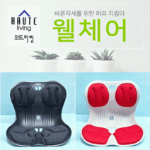 교정의자 [웰체어교정의자] 자세교정의자/교정의자/좌식의자/보정의자/등받이의자/기능성의자/허리교정의자, 블랙