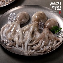 [산지명인] 제철 활 주꾸미 1kg 황금어장 태안 자연산 쭈꾸미, 제철 활 주꾸미 1kg 7-15미 조업즉시 순차발송