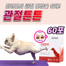 강아지 관절 튼튼 영양제 슬개골 탈구 예방 소형견 대형견 노견 노령견 콘드로이친 콘드로이틴 개 글루코사민 MSM 오메가3 장 건강 면역력 케어 반려견 애견 애완견 조인트 약1달, 2박스