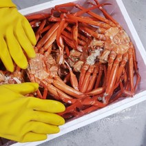 포항 구룡포 자숙 살통통 맛있는 홍게, 구룡포 연지홍게 B급 3kg