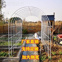 정원 가든아치 단독주택 꾸미기 녹 방지 철제 아치 포도 나무 꽃 선반 야외 장식 아크 게이트 울타리 안뜰 바닥 야채 창고, [23] 짙은 녹색 가로/높이/측면 폭 350x220x, [01] 중간
