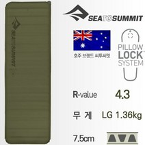 씨투써밋 씨투써미트 캠프플러스 SI RT 자충매트L/202cm, free