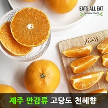 이츠올릿 제주도 고당도 감귤 천혜향 3kg 제주 하우스 귤 택배 선물 세트, 한라봉_가정용_2kg(중소_8과)