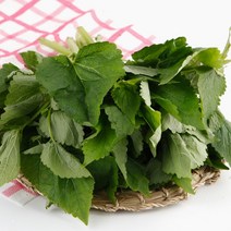 김해 향긋한 생방아잎 나물 산지직송, 2kg, 1개
