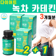 녹차 추출물 카테킨 카태킨 카텍킨 다이어트 체지방 혈중 콜레스테롤 개선 체중 판토텐산 비타민C 레몬밤 해조칼슘 보이차 추출물 셀레늄 타피오카 전분 폴리덱스트로스 말토덱스트린, 3BOX
