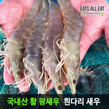 이츠올릿 국내산 냉동 왕새우 대하 1kg 35-45미 국산 흰다리 새우