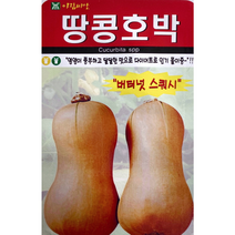 땅콩호박씨앗10립 버터넛 스쿼시