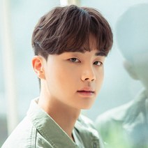 남성 탑스타일 애즈 펌 남자가발, L, 내츄럴브라운
