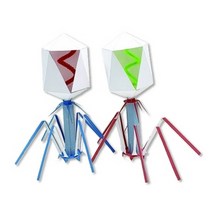 박테리오 파지 모형 10명 set RS1