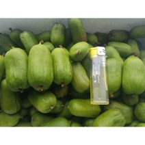 왕다래 다래나무 묘목 삽목1년생 포트묘, 1년생, 1개