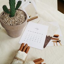 국내생산 면100% 비침적은 워싱 무형광 광목천 광목원단 사진 촬영용 배경천 2종, 백아이보리