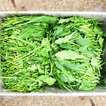 야채24닷컴 베이비루꼴라 250g, 1개