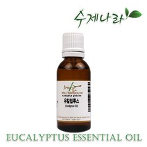 수제나라 유칼립투스 천연아로마 자연의숲, 유칼립투스 30ml