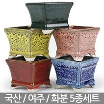 다육이 선인장 칼라 화분 5종세트 - 다육 미니화분 도자기 베란다 사무실 인테리어 예쁜화분 국내산화분 실내, 03_대진_사각화분(5종세트)