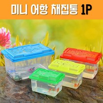 반투명 미니 물고기 어항 채집통, 1