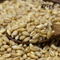 힘찬농부오달봉 2022년산 국산 통밀 생밀 찰밀, 국산 통밀 4kg, 1개