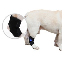 DOG 강아지 산책 개 다리 슬개골 깁스 보호대 1P 1개, 4애견슬개골보호대-XL