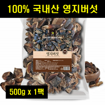 영지버섯절편 국산 국내산 영지버섯 영지버섯물 영지버섯차 지퍼백 100% 100프로 100퍼센트 500g 1팩