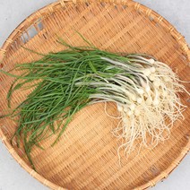 달래 2kg, 단품