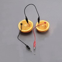 과일전지 만들기(1인세트)(발광다이오드)