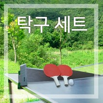 Retone O휠러스 휴대용 레저 탁구 풀세트(네트+라켓+공) / 배송상품 : 탁구풀세트 (휠러스/레저용/탁구라켓/탁구공/탁구네트/탁구대/스포츠 추천), 해피한마트 탁구풀세트