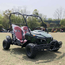 고카트 전동 카트 레이싱 성인용 2인용 카트라이더, 상세 페이지 참고, 전면 및 후면 이중 전기 카트