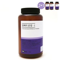 내몸생각 빌베리 대용량 300g 가루 분말 파우더 BILBERRY 2통 구매시1통 추가증정, 300g 1통, 1개