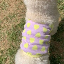 여름 멜빵 조끼 소형 중형 개 의류 통풍 셔츠 새끼 고양이 강아지 치와와 요크셔 디자이너, XS, 보라색