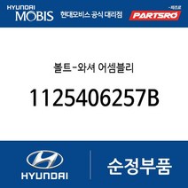볼트-와셔 어셈블리 (1125406257B) 싼타페 베라크루즈 제네시스 GV70 제네시스 G80 싼타페 더 스타일