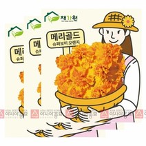 (아시아종묘/씨앗)고급꽃씨 메리골드 마리골드 슈퍼보이 오렌지(20립X3) B101