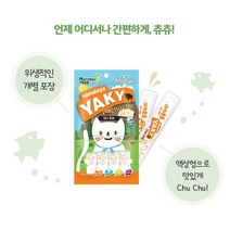 시니어 고양이 소화가 잘되는 연어 츄르 간식 친칠라, 1개