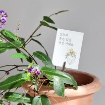 메시지픽 화분 토퍼 축하카드 개업 졸업 어버이날 선물 카드 장식 데코 기념일토퍼 가든픽, 04.응원