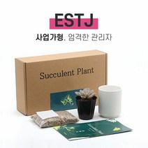 MBTI 다육이 키우기 키트 ENTJ, 다육이 선택:월동자