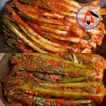 [황장군] 당일제조 여수 전라도 파김치 돌산 갓김치 1kg 2kg 3kg