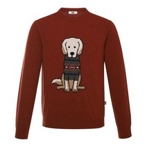 닥스셔츠 울 100 강아지 인타샤 풀오버 니트 오렌지 DJW1SWRL101O1