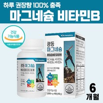 건강 기능 식품 마그네슘 무기질 비타민b1 비타민b2 비타민b6 정 산화 마그네슝 일일 하루 권장량 100% 충족, 3개월 x 2병