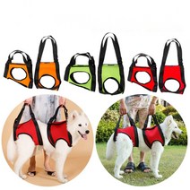 강아지 걸음연습 의족 스트랩 반려견 관절보호, 02.M-중형, 05.빨간색 앞다리