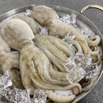 부산이오 냉동 활주꾸미 1kg, 100UP (1kg)