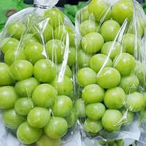 과즙팡팡 국내산 씨없는 청 포도 1kg, 샤인머스켓1kg(2-3수)