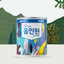KCC 숲으로올인원 반광 0.9L 내외부 철재 벽지 목재 친환경페인트, 반광-녹색