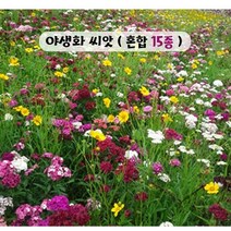 야생화 씨앗 혼합종자15종모음 (100g) 봄부터 가을까지 매년 아름다운 경관 연출, 1개